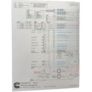  NEW Cummins M11, N14 CelectPlus Engines Electrical Diagram Laminated Brochure